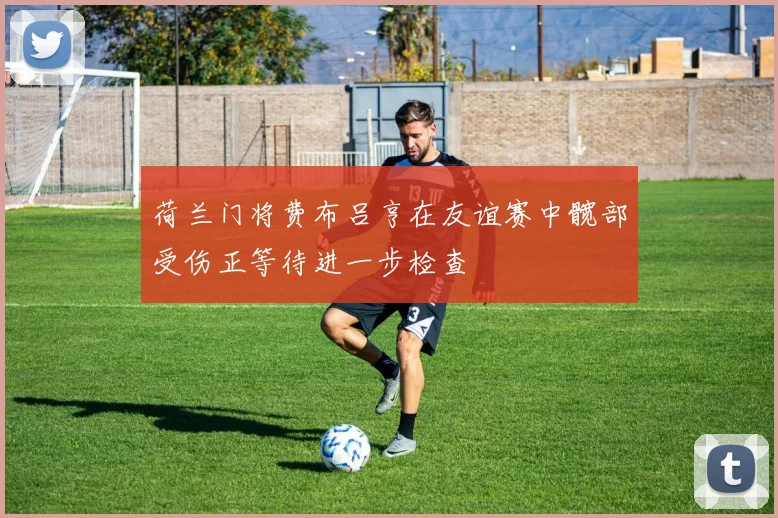 荷兰门将费布吕亨在友谊赛中髋部受伤正等待进一步检查